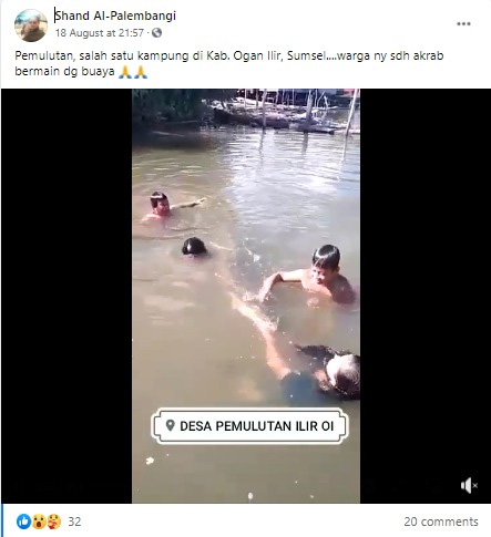 cek fakta video anak bermain buaya 2