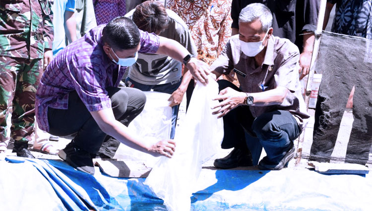 Bantuan Benih kediri 2