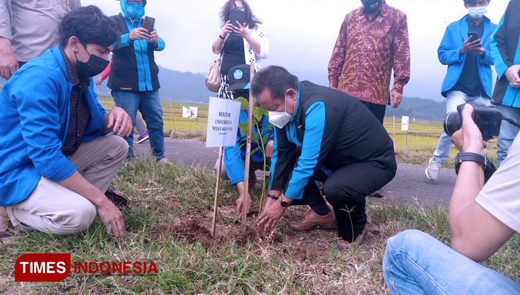 Rektor UNWIKU H Kaboel Suwardi SH MH saat melakukan penanaman pohon lindung di Bedana (FOTO : Muchlas Hamidi/ TIMES Indonesia)
