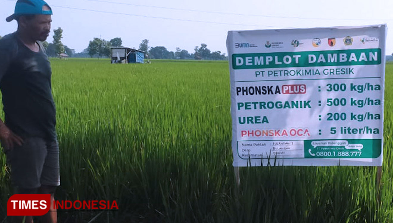 Produktivitas Pertanian Meningkat Berkat Program Petrokimia Gresik ...