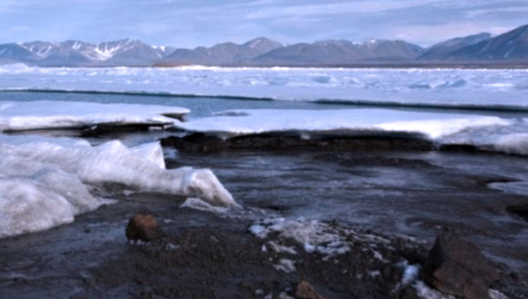 Pulau berukuran 60X30m adalah titik terdekat dari daratan ke Kutub Utara, kata para ilmuwan. (FOTO: BBC/MORTEN RASCH, Universitas Kopenhagen) 