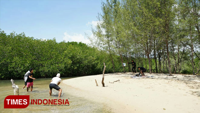 hutan-mangrove-2.jpg