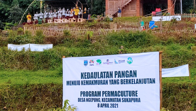 Lokasi Pertanian Permakultur yang dikembangkan PT Paiton Energy, POMI dan FKPS di Desa Ngepung, Kecamatan Sukapura, Kabupaten Probolinggo. (Foto: Humas Paiton Energy)