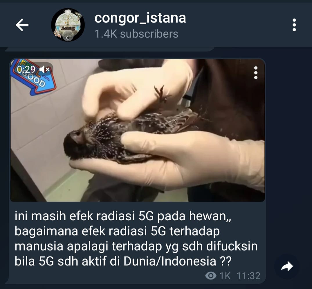 cek-fakta-radiasi-5g-7.jpg