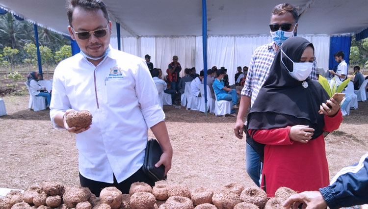 Ketua Kadin Pangandaran Yayan Sugiantoro di acara launching program penanaman porang juga penandatanganan perjanjian kerjasama antara bank BJB Pangandaran dengan PT Joglosemar Karangsari Makmur.