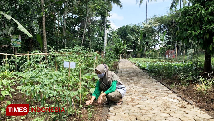 Kegiatan pawon urip oleh Mahasiswa KSM Tematik Unisma dan masyarakat Desa Bodang. (FOTO: AJP TIMES Indonesia)