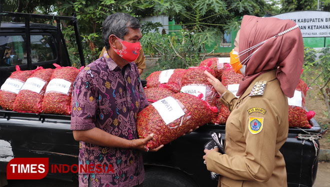 Bupati Brebes Hj.Idza Priyanti saat memborong cabai hasil panen petani sekaligus mendokrak anjloknya harga cabai di pasaran (Foto Diskominfotik Kab Brebes For Times Indonesia)