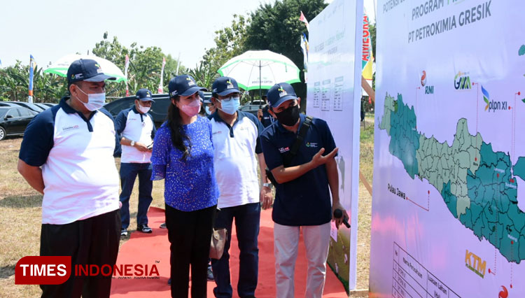 Direktur Operasi dan Produksi PT Petrokimia Digna Jatiningsih saat meninjau plot tanam perdana tabu di Mojokerto (Foto: Petrokimia Gresik for TIMES Indonesia).