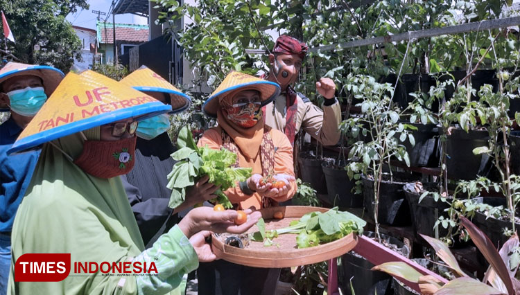 DKPP Kota Surabaya dengan Tim saat memanem hasil Urban Farming dari RT 09 RW 03 Kecamatan Sukomanunggal Kota Surabaya. (FOTO: Shinta Miranda/TIMES Indonesia)