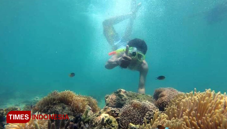 Wisata snorkeling Pulau Gili Ketapang