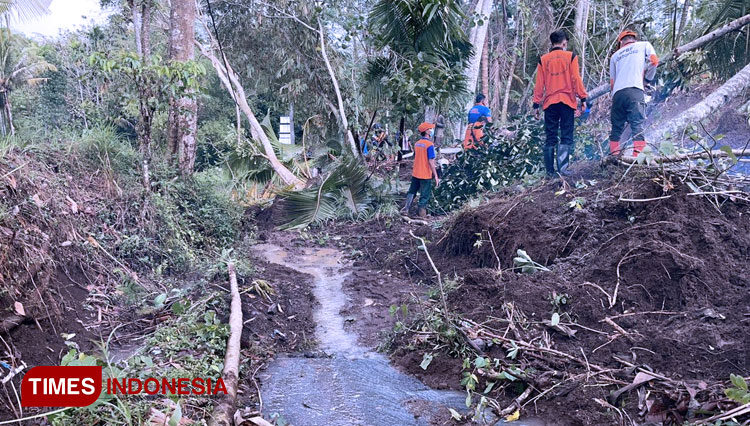 Diguyur Hujan, Akses Dua Desa di Bondowoso Tertutup Longsor dan Pohon Tumbang