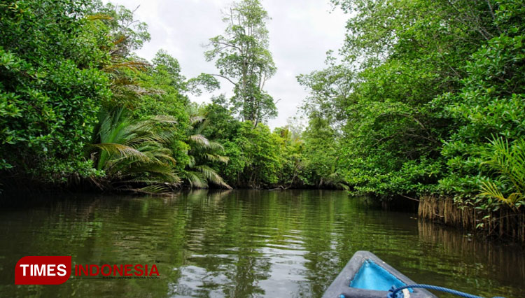 Taman Hutan Mangrove Gamtala a