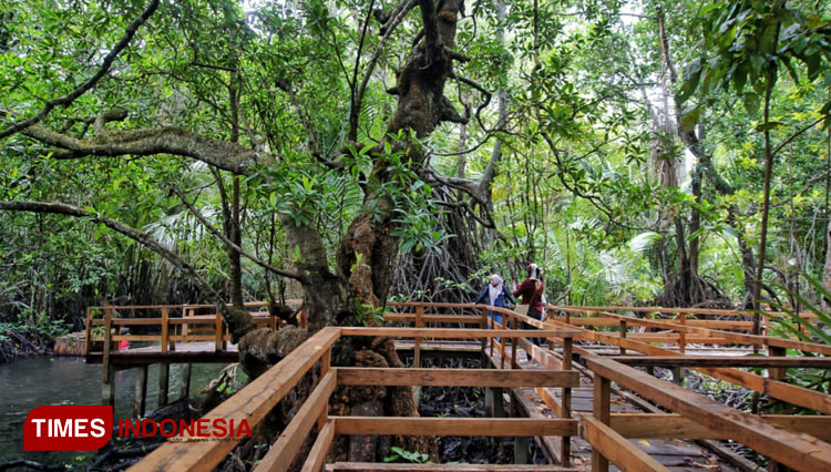 Taman Hutan Mangrove Gamtala b