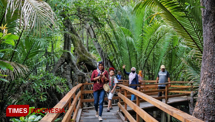 The visitors enjoying sightseeing at Gamtala Mangrove Forest. (Photo: Fuad for TIMES Indonesia)