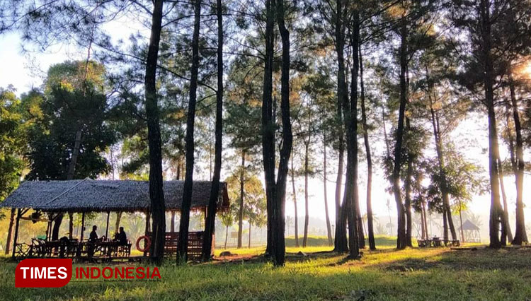 A nice ambience at Jambewangi Tourism Village, Sempu, Banyuwangi, East Java. (PHOTO: Agung Sedana/TIMES Indonesia)