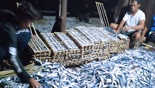 Foto A. Ikan julung-julung yang berhasil ditangkap nelayan (Foto: Neleyan Penu for TIMES Indonesia)