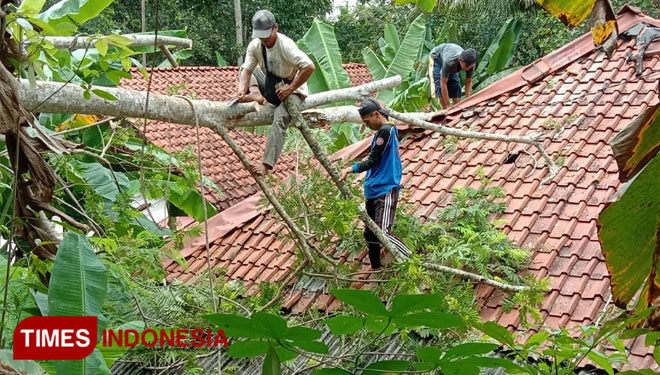 Relawan sedang mengevakuasi rumah warga yang tertimpa pohon tumbang (Foto : Tagana Pangandaran)