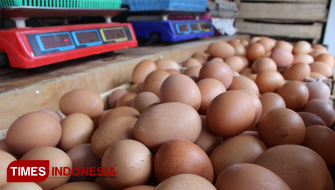 Harga telur Jember mulai stabil, Jum'at (19/07/2021) (Foto: Amirah Farah/TIMES Indonesia)