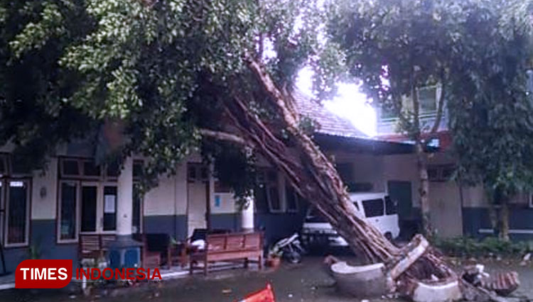 Pohon-tumbang-yang-menimpa-salah-satu-gedung-sekolah-di-kabupaten-Banyuwangi-2.jpg