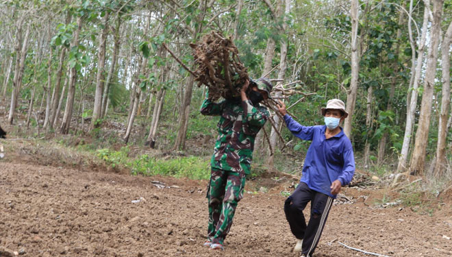 Serka Sutrisno Anggota Koramil Tipe B 0808/02 Garum Kodim 0808/Blitar, membantu Mbah Suwito warga DesaPakisaji memanggul kayu bakar dan mengantarkannya sampai rumah, Senin (27/9/2021). (Foto: Kodim 0808/Blitar) 