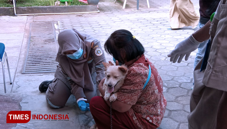 Vaksin-anti-rabies-kepada-ratusan-hewan-peliharaan-digelar-Dinas-Pertanian-Kabupaten-Cilacap-2.jpg