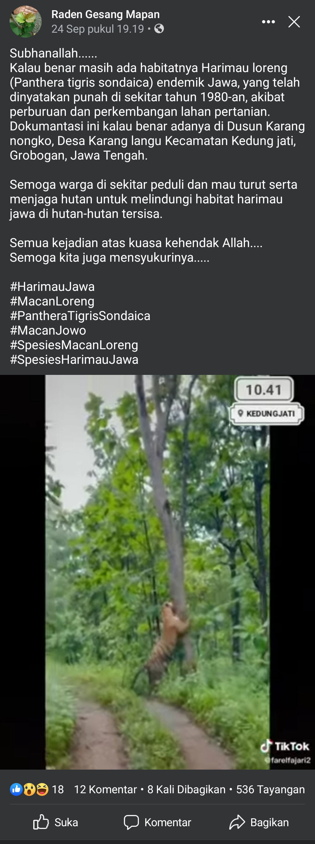 cek-fakta-harimau-hutan-grobogan-4.jpg