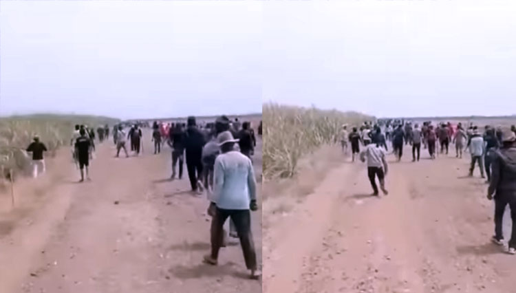 Bentrokan di lahan tebu perbatasan Kabupaten Indramayu dan Majalengka.(Foto: Tangkapan layar video)