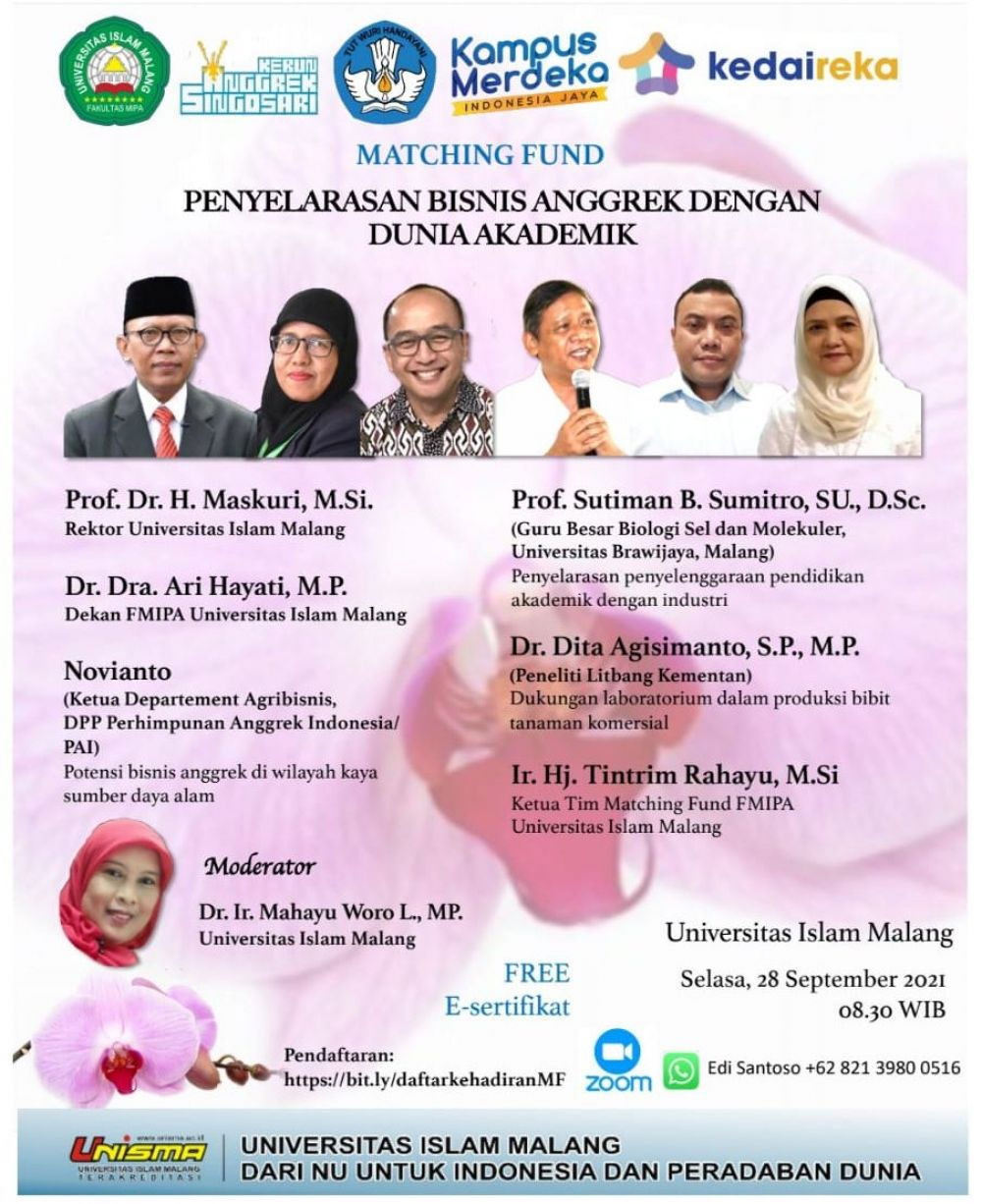 Pamflet