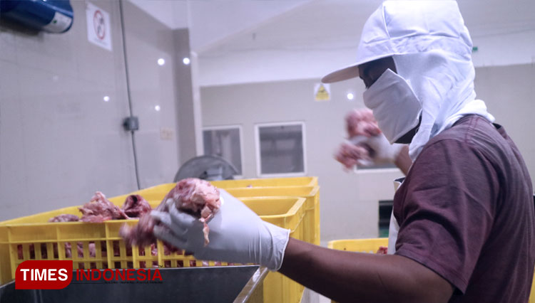 Karyawan memilah daging segar sebelum proses penggilingan di rumah pemotongan ayam milik PT Darbe Jaya Abadi di Gedangan Sidoarjo, Kamis (7/10/2021). (FOTO: Lely Yuana/TIMES Indonesia) 