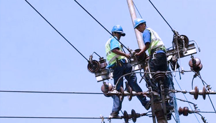 Petugas PLN lakukan pemeliharan jaringan listrik, sebagai bagian dari upaya meningkatkan keandalan pasokan listrik. (Foto: Asnadi/TIMES Indonesia)