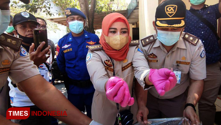 Petugas menunjukkan Baby lobster hasil tangkapan Opsnal Ditpolairud Polda Jatim, Jumat (8/10/2021). (Foto: M Rofik for TIMES Indonesia)