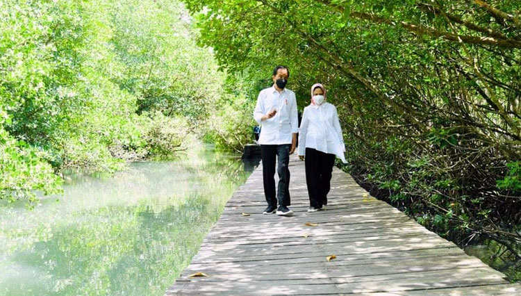 Presiden Jokowi dan Ibu Negara Iriana saat meninjau hutan mangrove di Taman Hutan Raya (Tahura) Ngurah Rai, Kabupaten Badung. (FOTO: Setkab RI)
