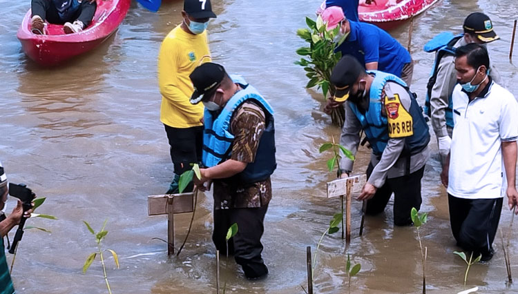 Mageri Segoro, Polres Kebumen Tanam 50 Ribu Pohon Mangrove - TIMES ...