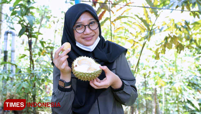 Bupati Banyuwangi Ipuk Fiestiandani Azwar Anas saat mencicipi buah durian khas Banyuwangi. (Foto: Rizki Alfian/TIMES Indonesia)