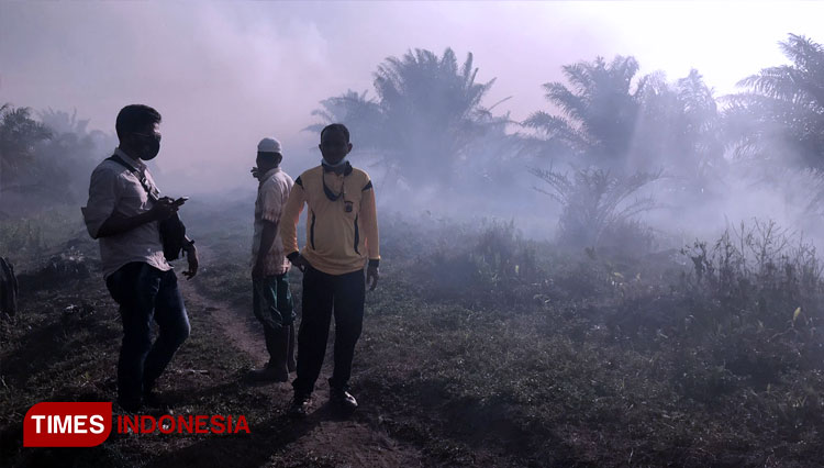 Kebun sawit milik mantan anggota DPR Aceh, Tgk Khalidi terbakar, Rabu (13/10/2021) (FOTO: T. Khairul Rahmat H/TIMES Indonesia)