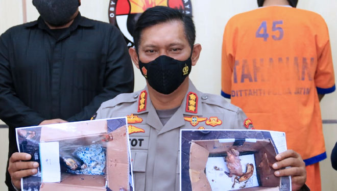 Polda Jatim saat ungkap kasus jual beli satwa dilindungi, Rabu (13/10/2021). (Foto: dok. Humas Polda Jatim untuk TIMES Indonesia)
