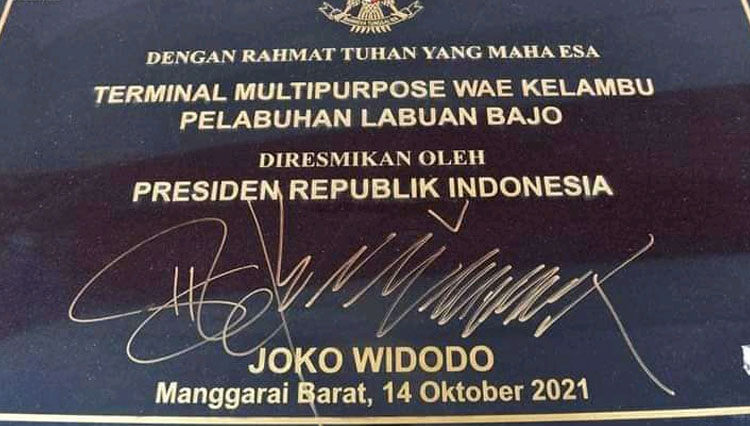 Presiden RI Jokowi 10