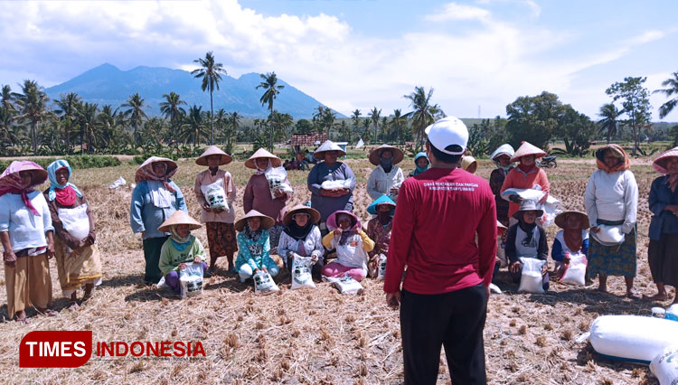 Para buruh ngasak di Banyuwangi mendapatkan pengarahan dari Dinas Pertanian dan Pangan. (FOTO: Agung Sedana/TIMES Indonesia)