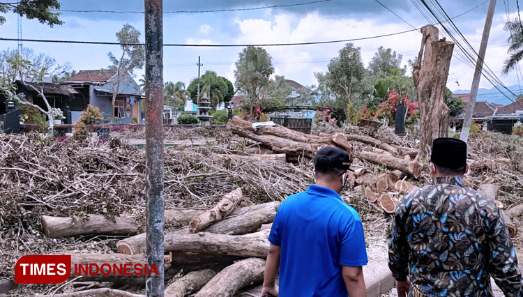 Wakil Bupati Bondowoso Irwan Bachtiar Rahmat saat meninjau langsung lokasi penebangan pohon sonokeling (FOTO: Moh Bahri/TIMES Indonesia).