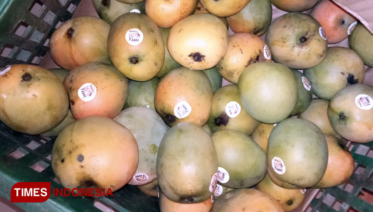 buah-mangga-3.jpg