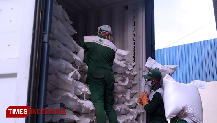 Tepung porang saat diangkut ke truk untuk diekspor (FOTO: Akmal/TIMES Indonesia)