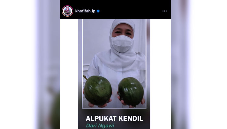 Gubernur Jatim menunjukan buah alpukat kendil asal Ngawi di postingan instagramnya. (Foto: tangkapan layar instagram @khofifah.ip)