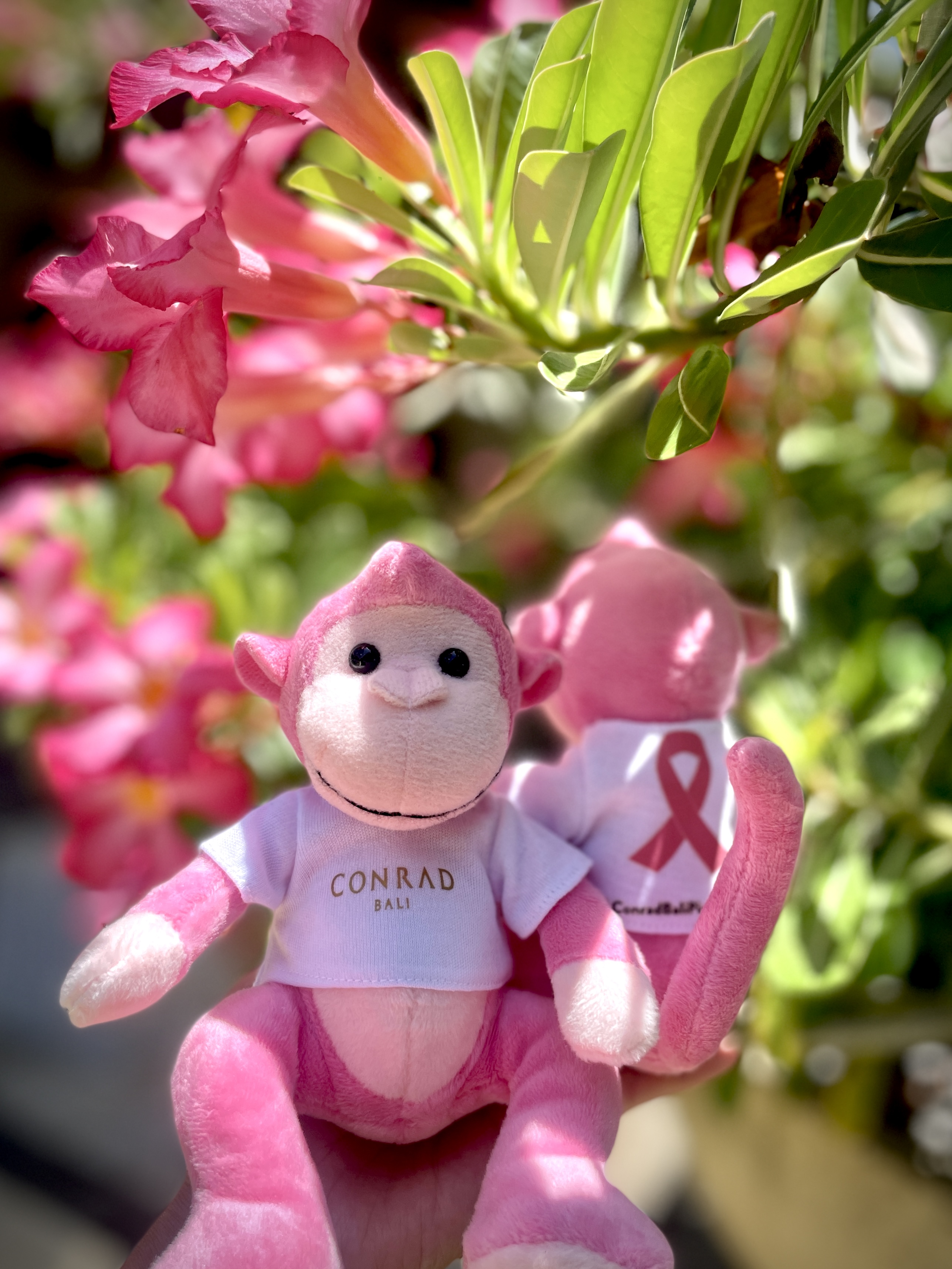 Conrad Bali Pink CoMonk