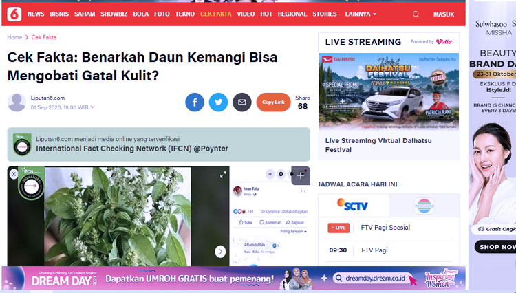 cek fakta daun kemangi 2