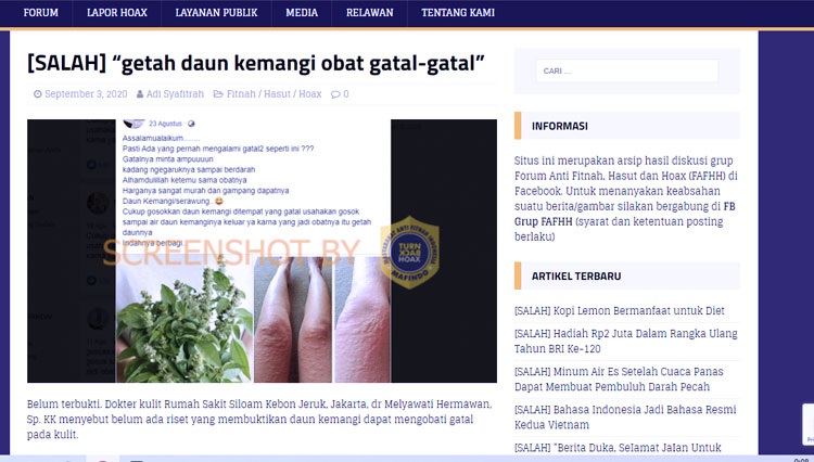 cek fakta daun kemangi 3