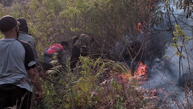 Tampak api melalap alang-alang yang sudah kering. Akibatnya lima hektar lahan Perhutani KPH Bondowoso terbakar (FOTO: Humas for TIMES Indonesia)