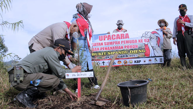 Penanaman pohon 500 pohon jenis bintamin dan akasia dekuren ditamam di Bukit Sipandu, Batur, Banjarnegara. (FOTO: Kominfo for TIMES Indonesia)