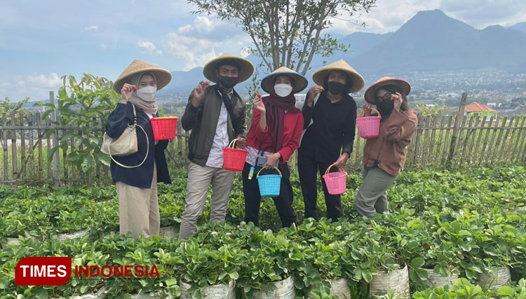 Keseruan pengunjung menikmati wisata petik stroberi dengan mengabadikan foto bersama. (Foto: Alya Auranty Faradhisa/ TIMES Indonesia) 