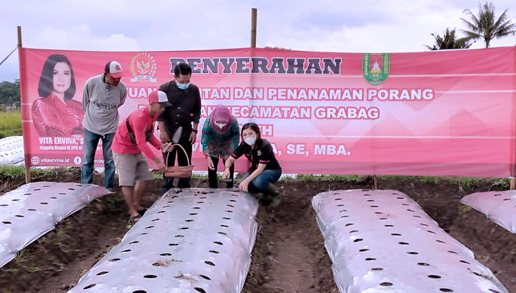 Anggota Komisi IV DPR RI Vita Ervina SE MBA bersama para petani melakukan tanam perdana porang di Desa Grabag, Kec. Grabag, Kab. Magelang. (FOTO: Tim Vina Erniva for TIMES Indonesia)