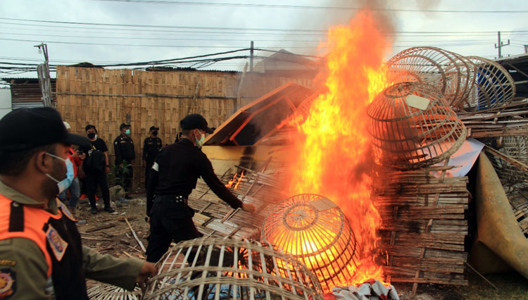 Petugas saat membakar Pagupon yang diduga menjadi tempat perjudian burung merpati di Ploso Surabaya, Senin (1/11/2021). (Foto: dok. Polrestabes Surabaya).